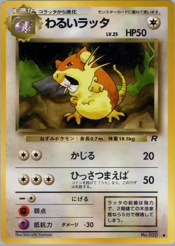 Carte Dark Raticate — Rocket Gang
