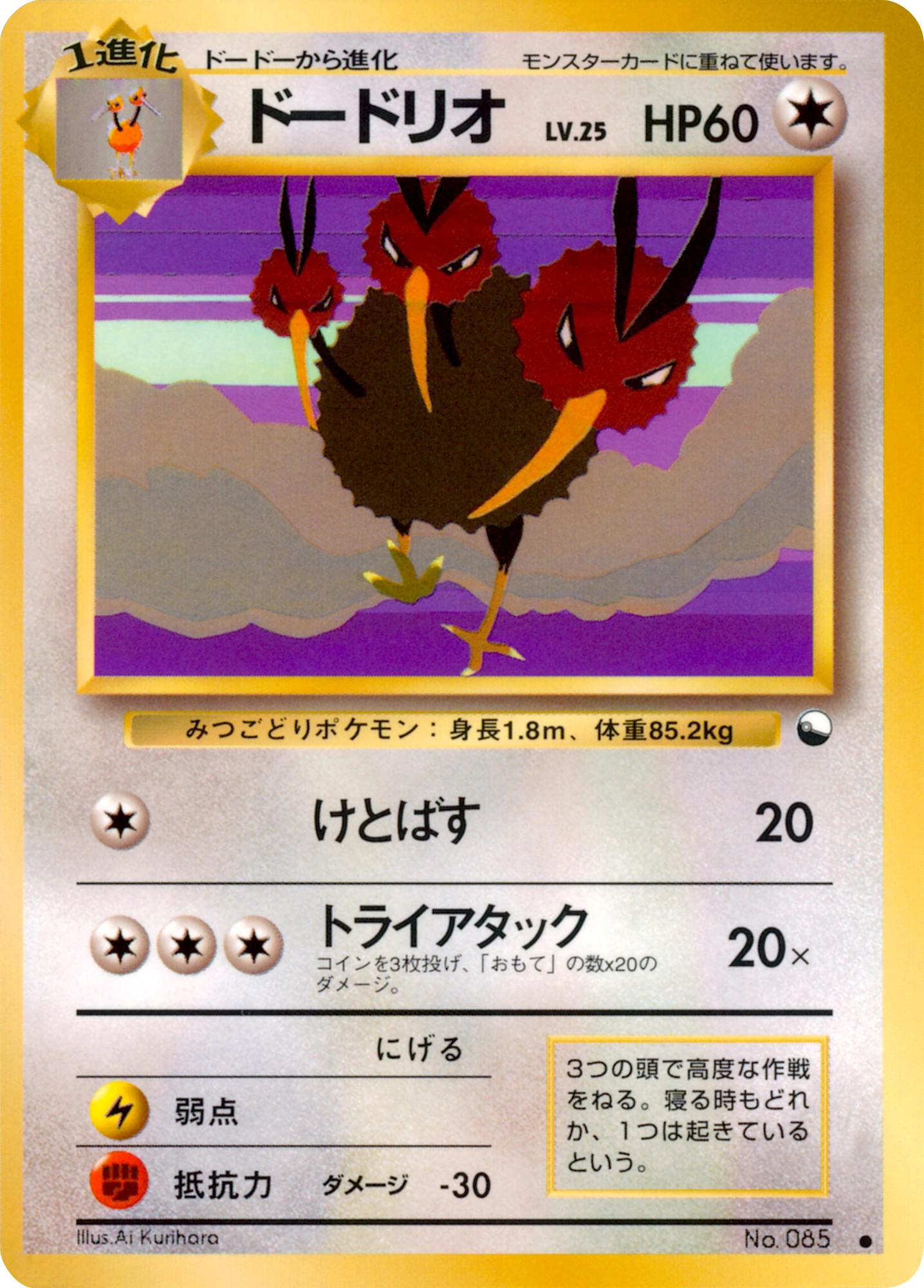 Carte Dodrio — Expansion Sheet