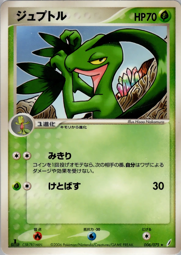 Carte Grovyle — Miracle Crystal