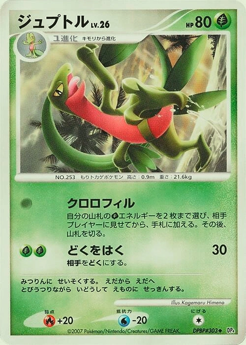 Carte Grovyle — Dawn Dash