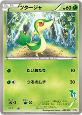 Carte Vipélierre — Beginning Set