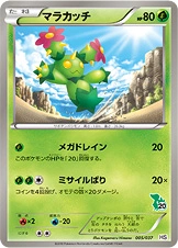 Carte Maracachi — Beginning Set