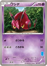 Carte Venipatte — Beginning Set