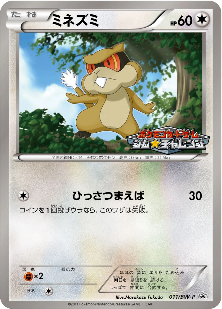 Carte Patrat — BW Promos