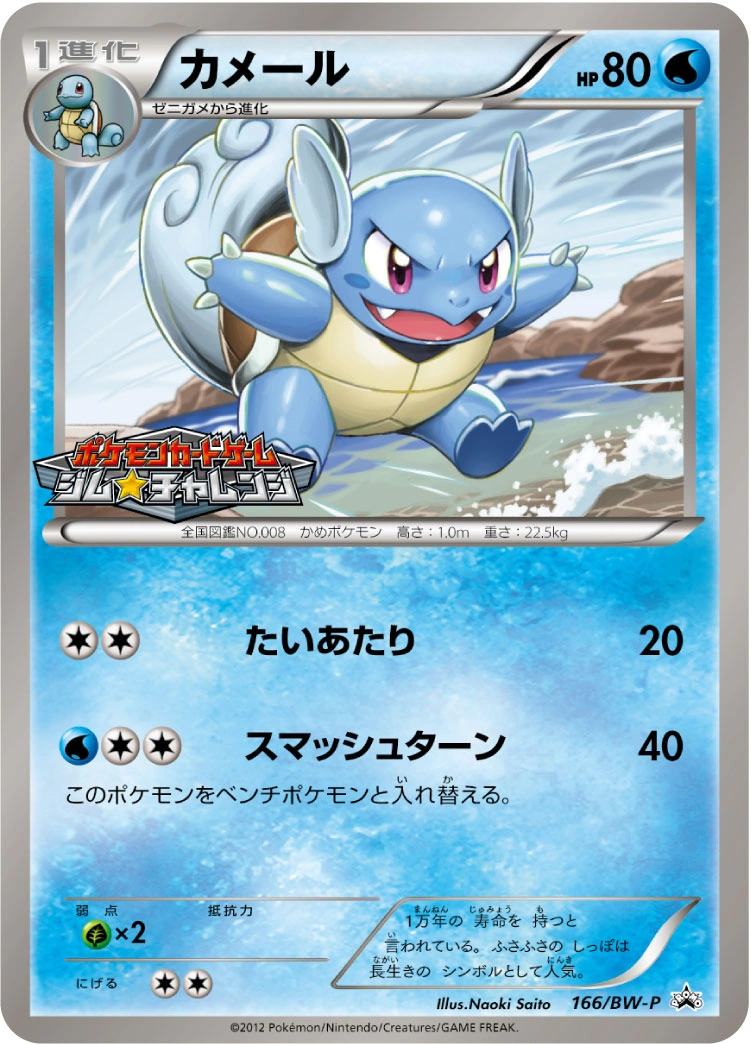 Carte Wartortle — BW Promos