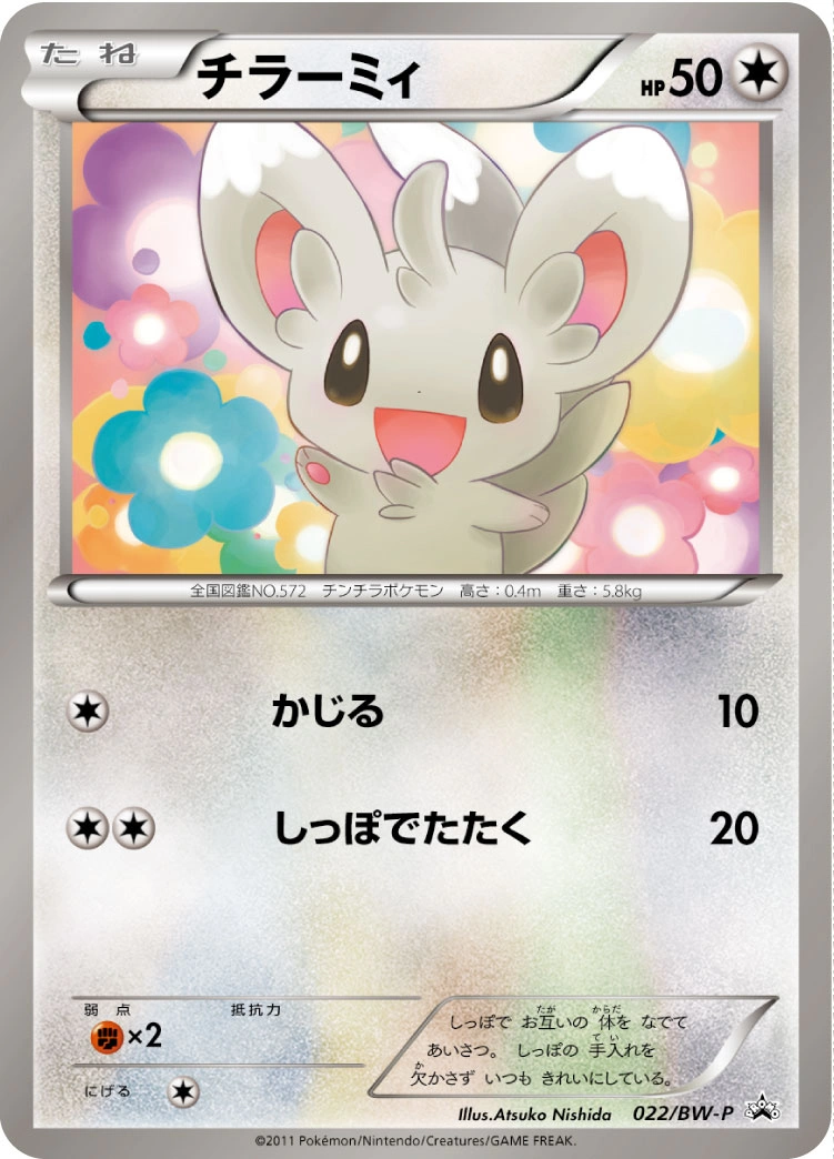 Carte Minccino — BW Promos