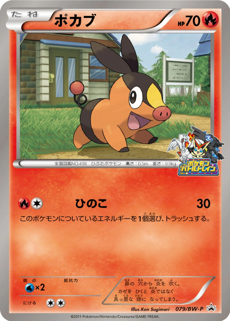 Carte Tepig — BW Promos