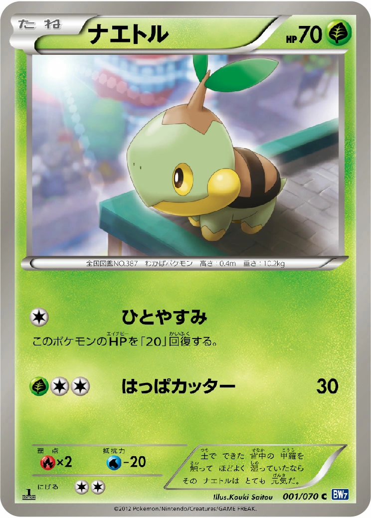 Carte Turtwig — Plasma Gale