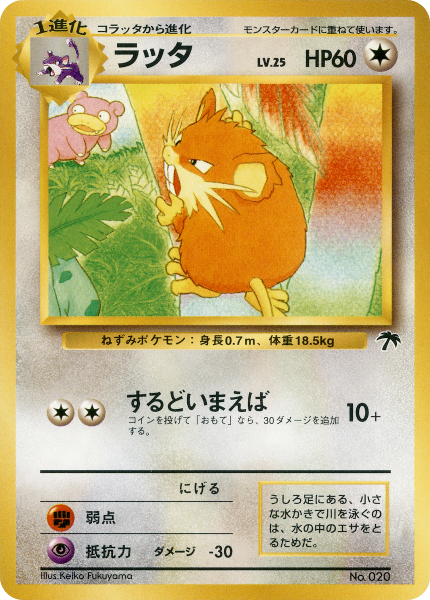 Carte Raticate — Southern Islands JP