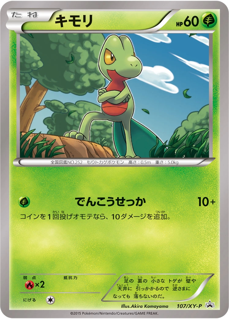 Carte Arcko — XY Promos