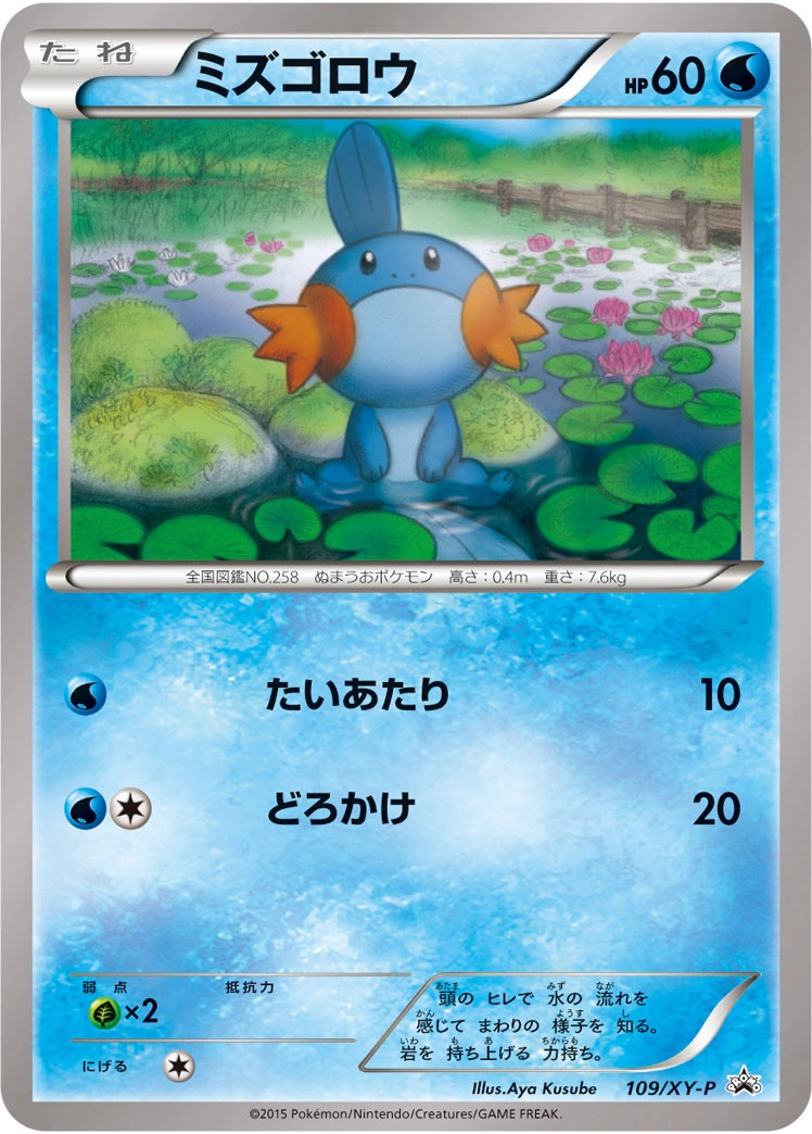 Carte Gobou — XY Promos