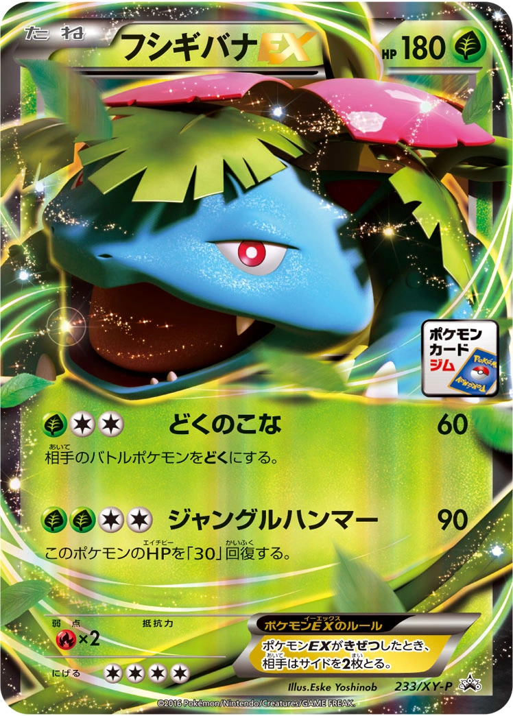 Carte Venusaur — XY Promos