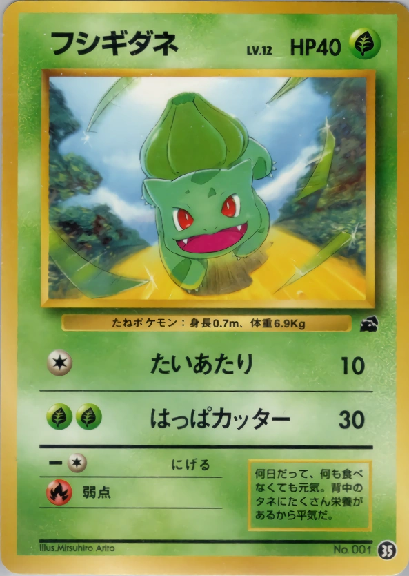 Carte Bulbasaur — Intro Pack Bulbasaur