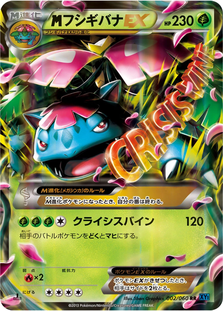 Carte Venusaur — Collection X