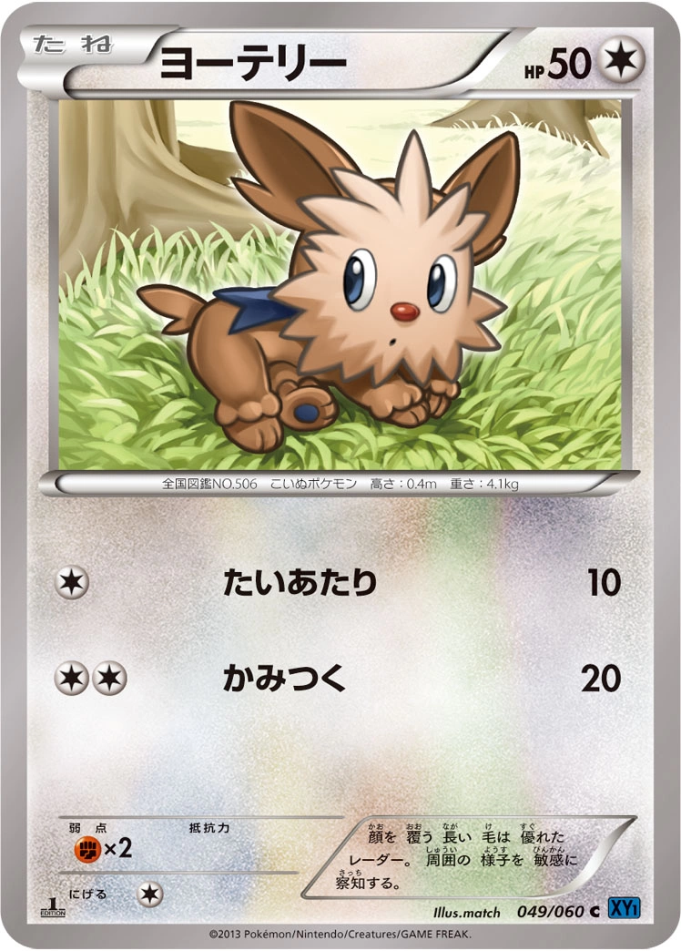 Carte Lillipup — Collection X