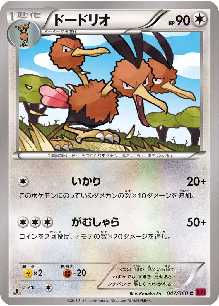 Carte Dodrio — Collection Y