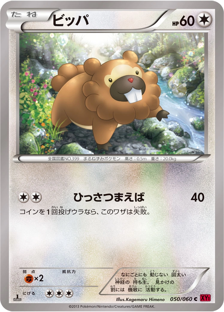 Carte Bidoof — Collection Y