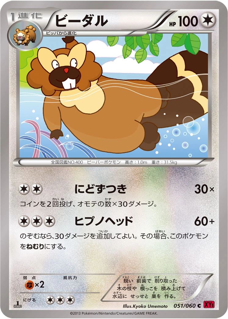 Carte Bibarel — Collection Y
