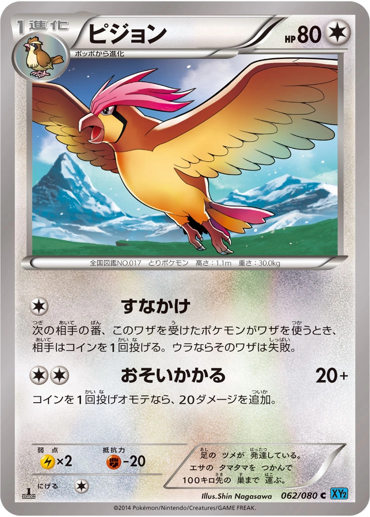 Carte Pidgeotto — Wild Blaze