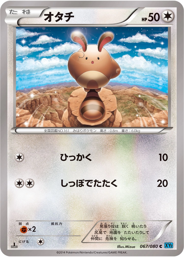 Carte Sentret — Wild Blaze