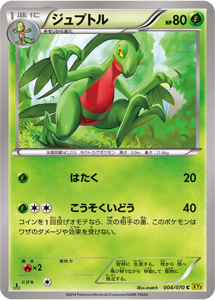 Carte Grovyle — Gaia Volcano