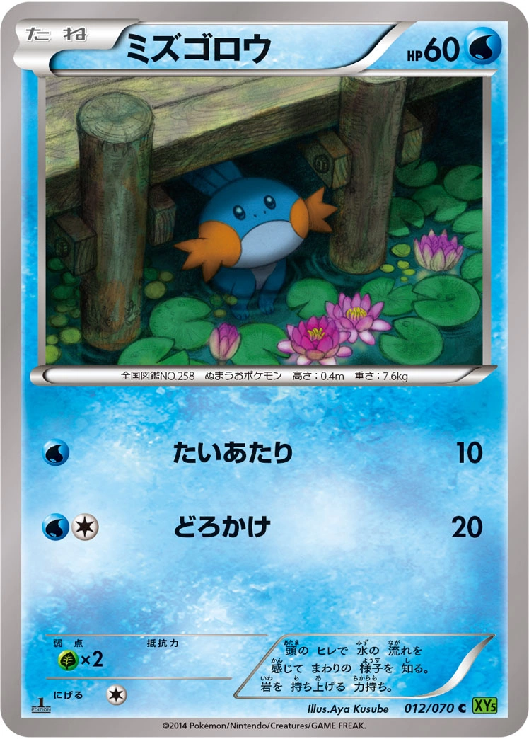 Carte Mudkip — Tidal Storm