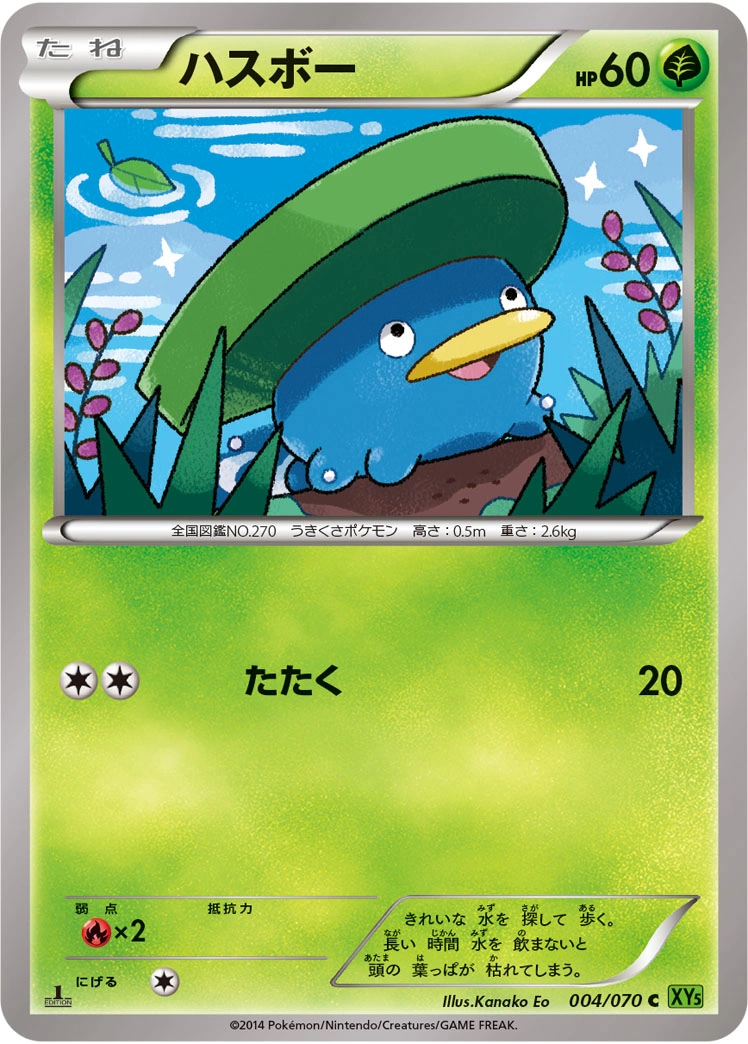 Carte Lotad — Tidal Storm