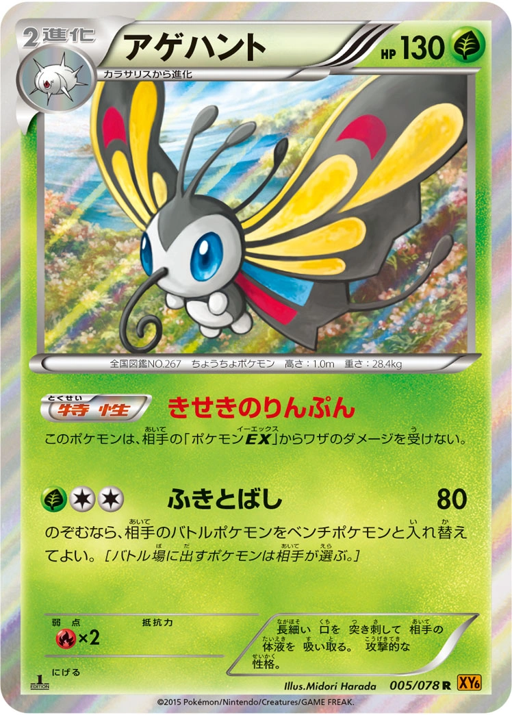 Carte Beautifly — Emerald Break