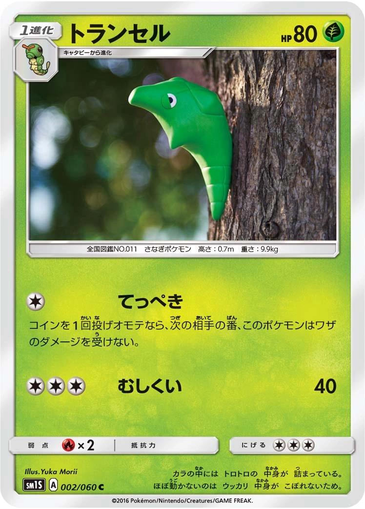 Carte Metapod — Collection Sun