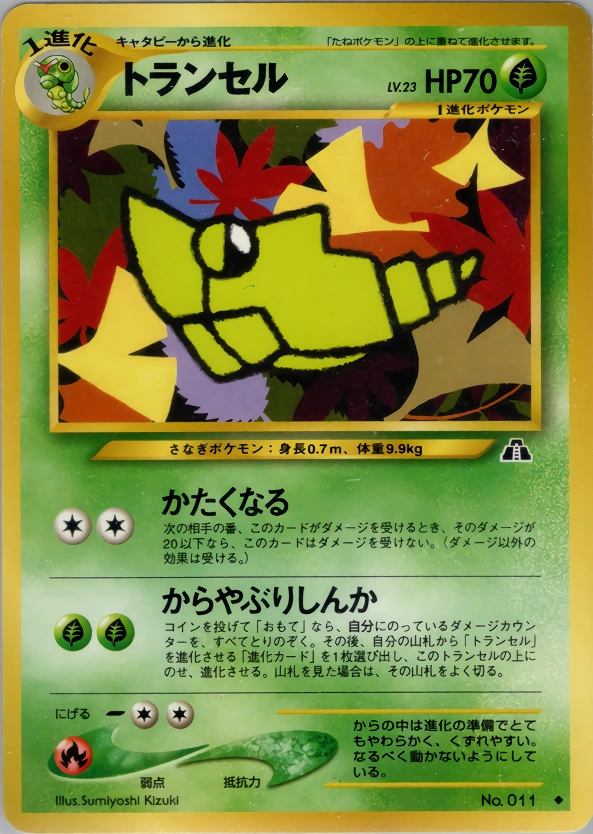 Carte Metapod — Crossing the Ruins