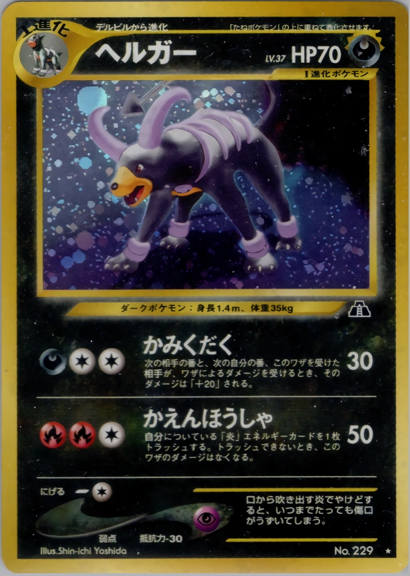 Carte Houndoom — Crossing the Ruins
