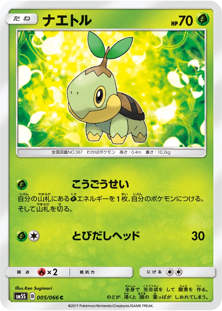 Carte Turtwig — Ultra Sun