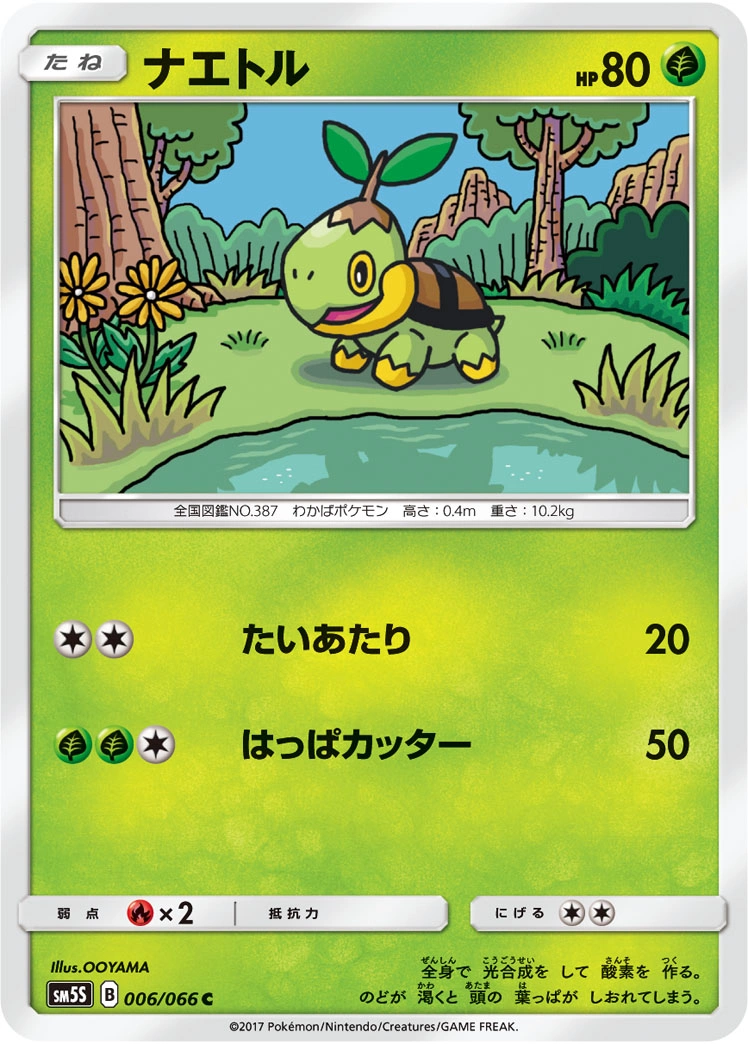 Carte Turtwig — Ultra Sun