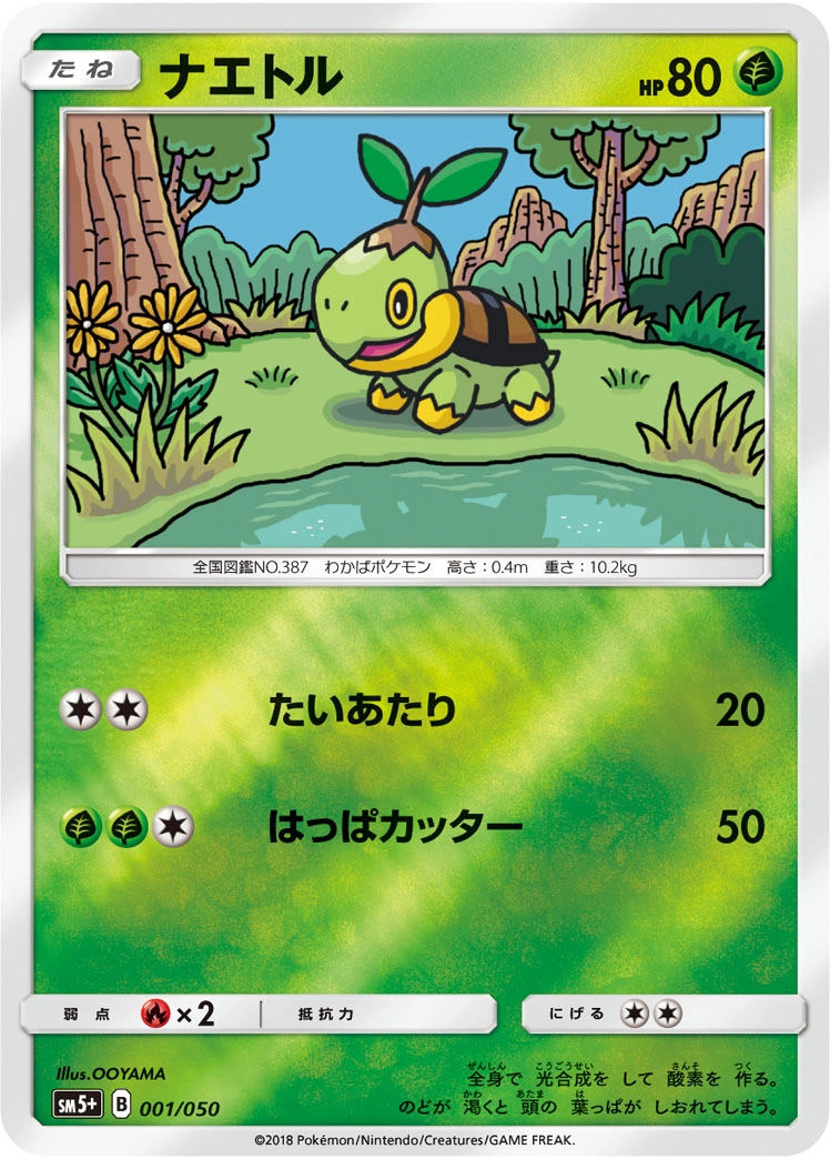 Carte Turtwig — Ultra Force