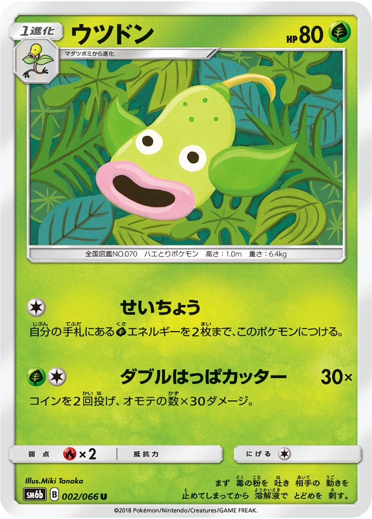 Carte Boustiflor — Champion Road