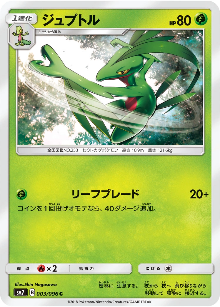 Carte Grovyle — Sky Splitting Charisma