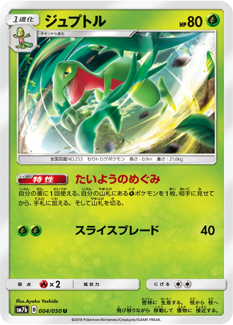 Carte Grovyle — Fairy Rise
