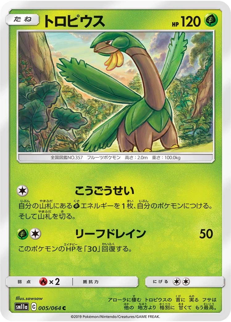 Carte Tropius — Remix Bout