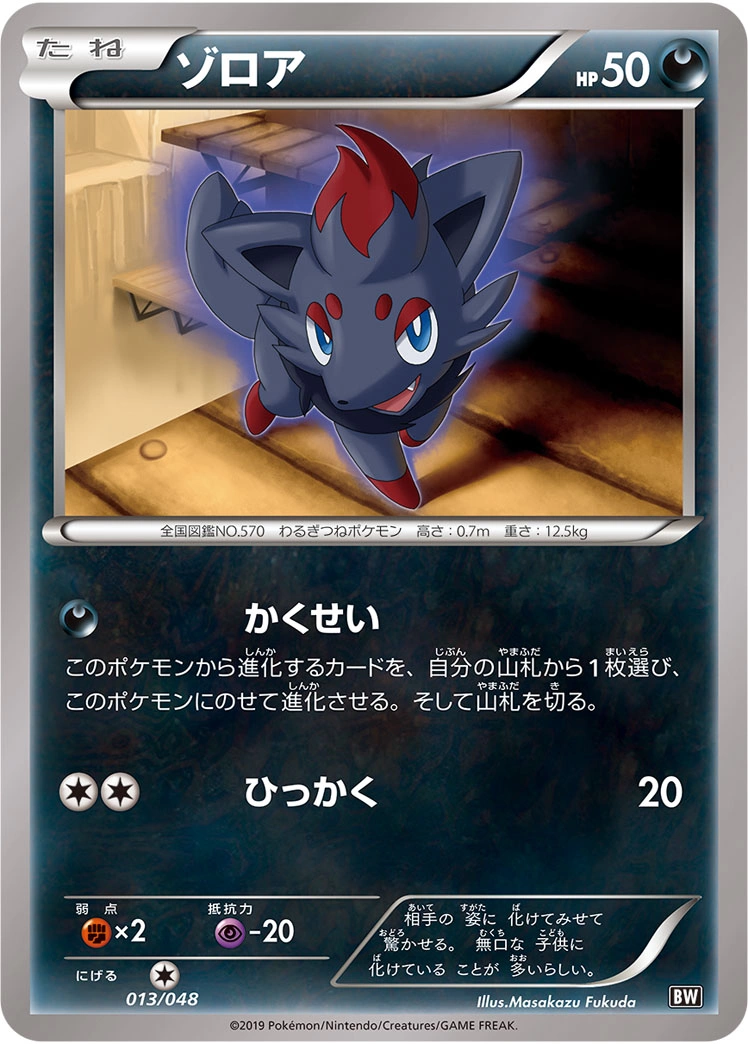 Carte Zorua — Extra Regulation Box