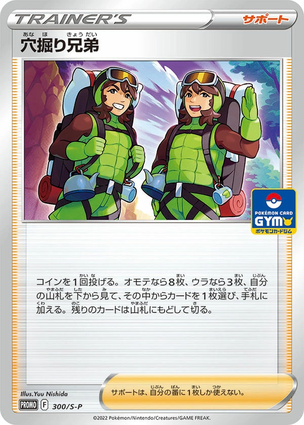 Carte Trou Brothers — Sword Shield Promos