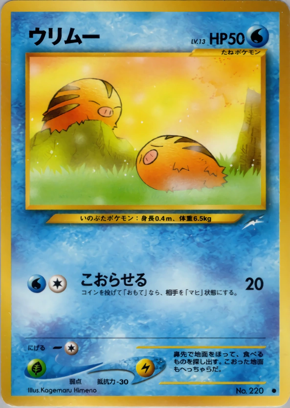 Carte Swinub — Darkness and to Light
