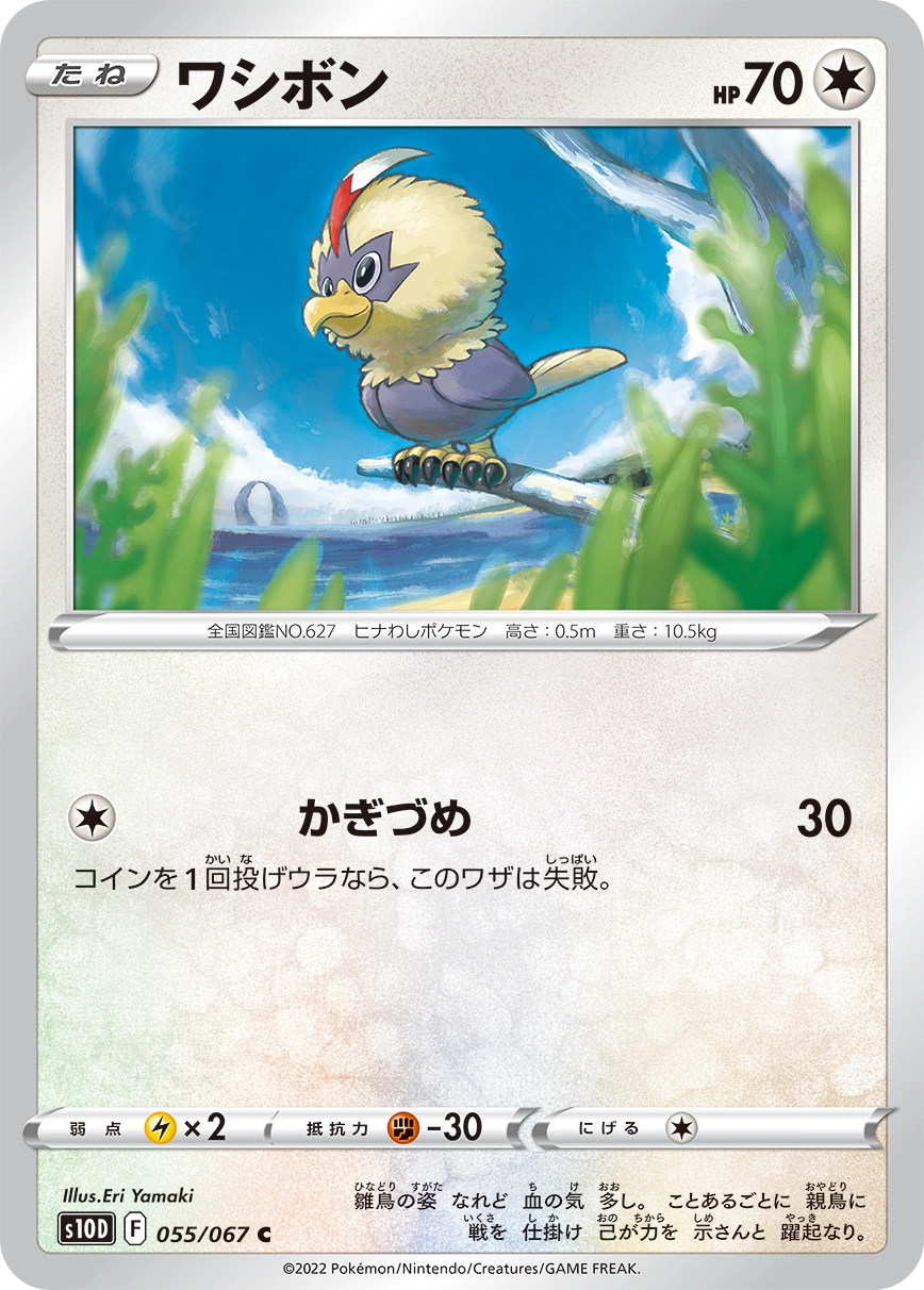 Carte Furaiglon — Time Gazer
