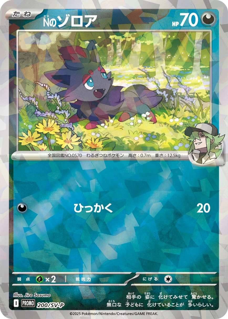 Carte N's Zorua — Scarlet Violet Promos