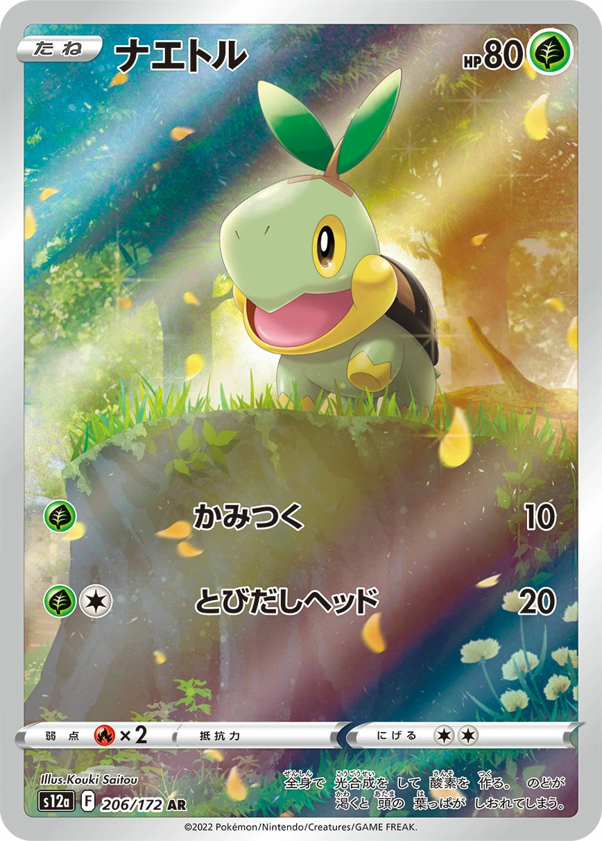 Carte Turtwig — VSTAR Universe