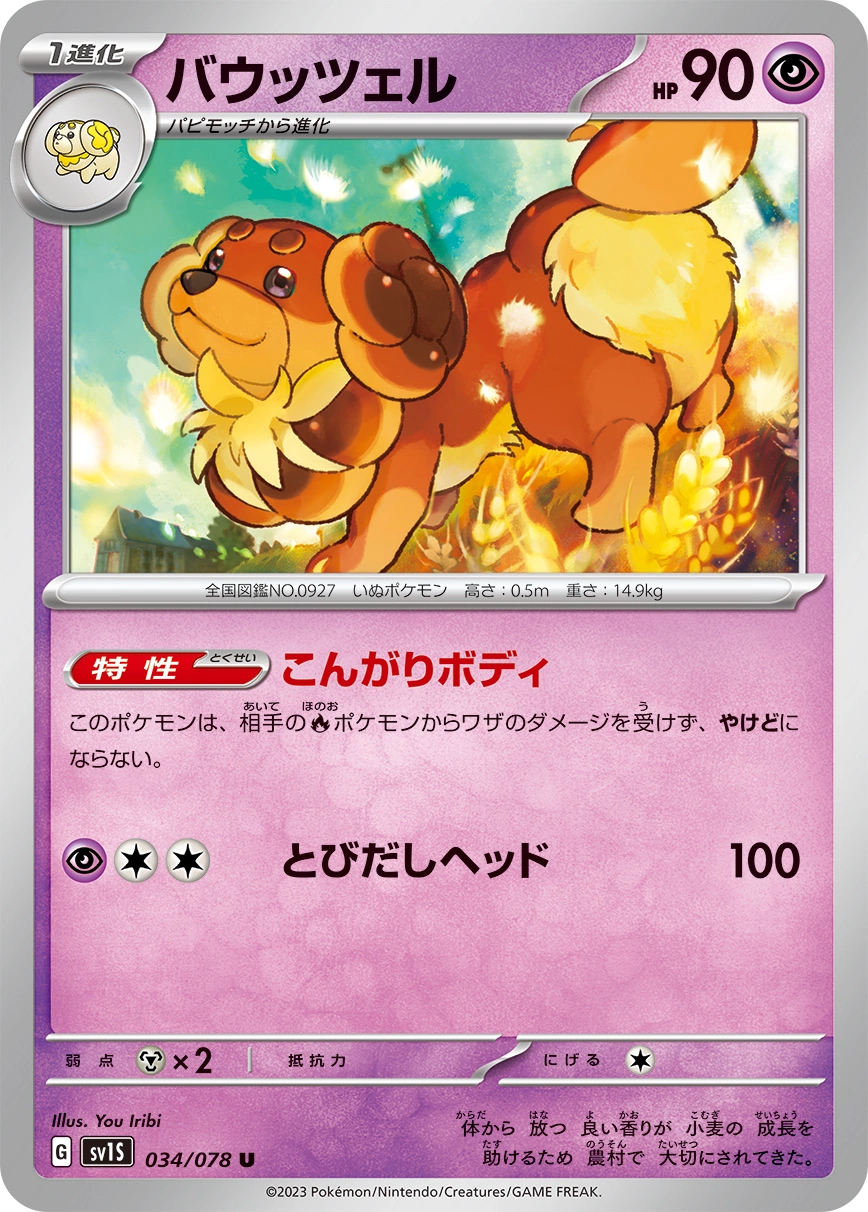 Carte Dachsbun — Scarlet ex