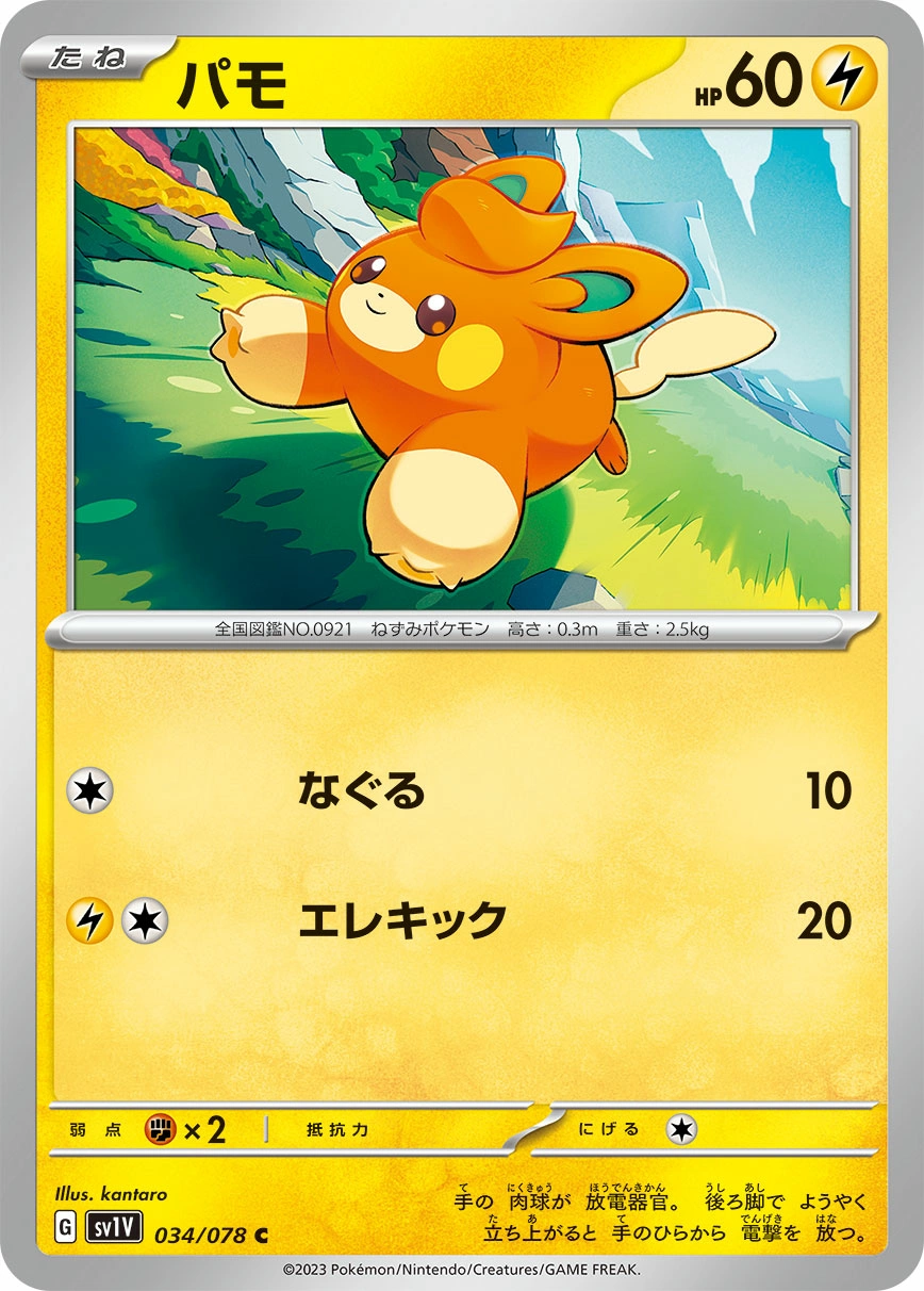 Carte Pawmi — Violet ex