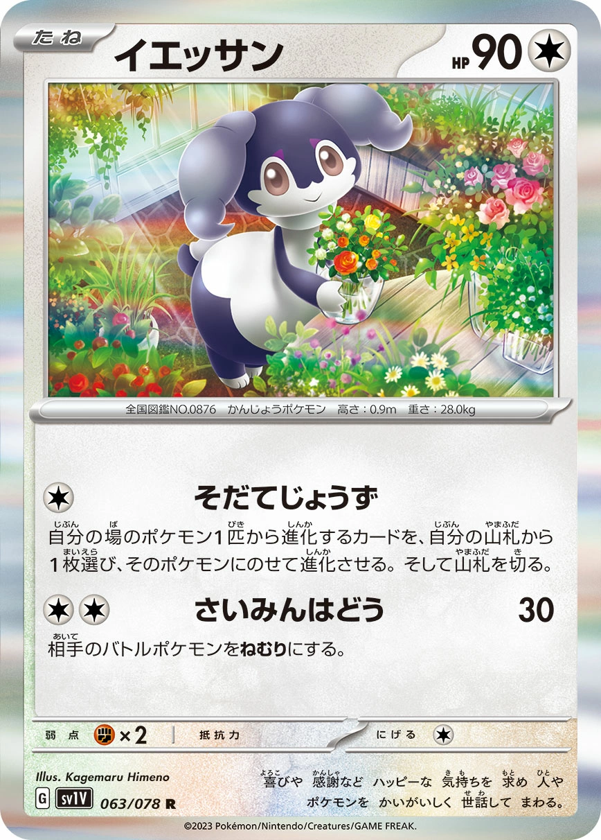 Carte Wimessir — Violet ex