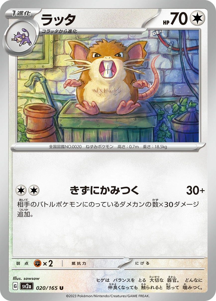 Carte Raticate — Pokemon Card 151