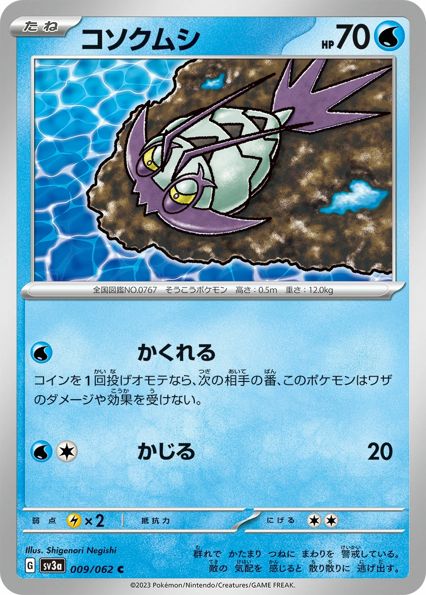 Carte Wimpod — Raging Surf