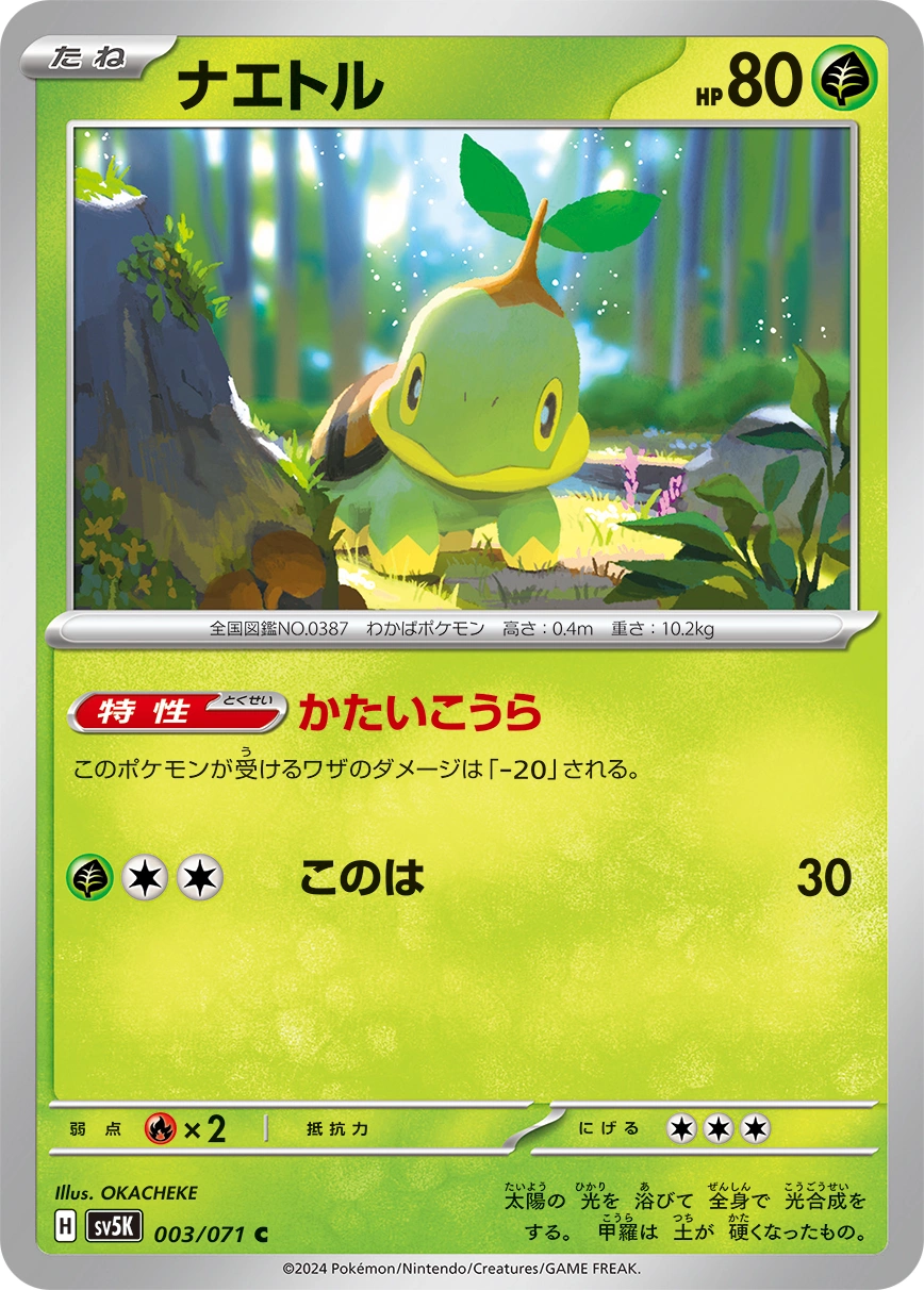 Carte Turtwig — Wild Force